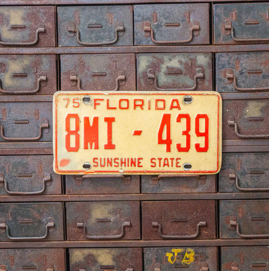 Photo of a 1975 Florida Dealer License Plate Auto Tag Garage Decor Vintage Volusia County 8 MI 439 with original patina