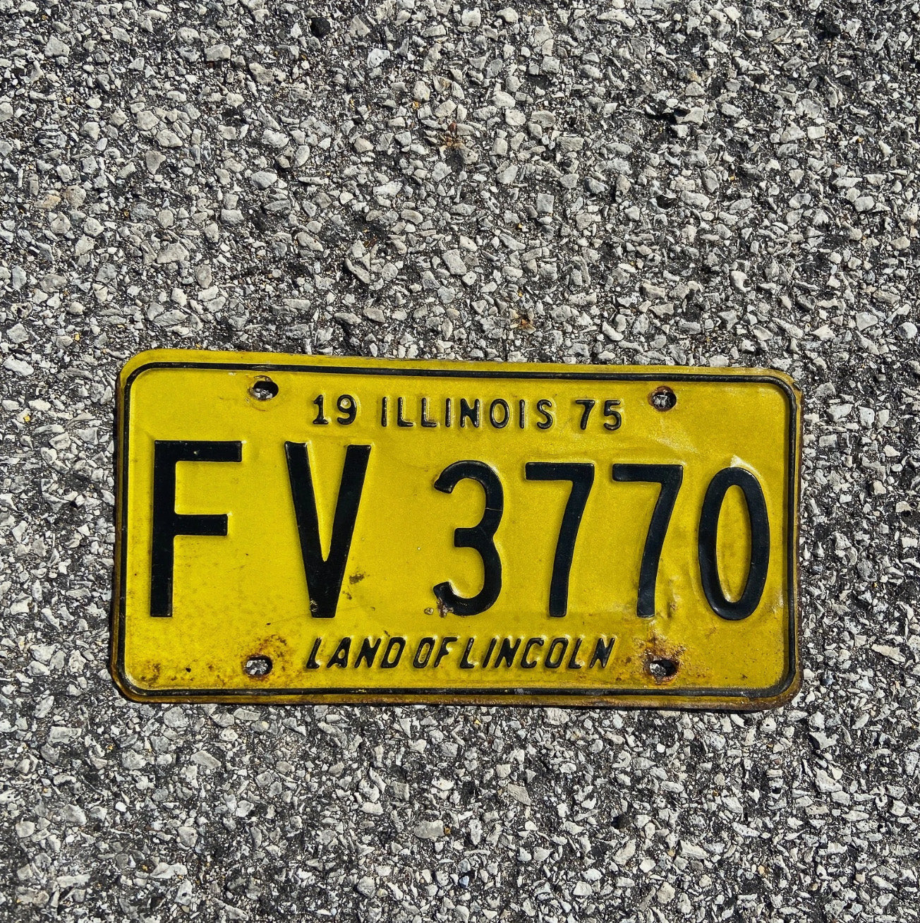 Photo of a 1975 Illinois License Plate Auto Tag Garage Decor Vintage Initials Name FV 3770