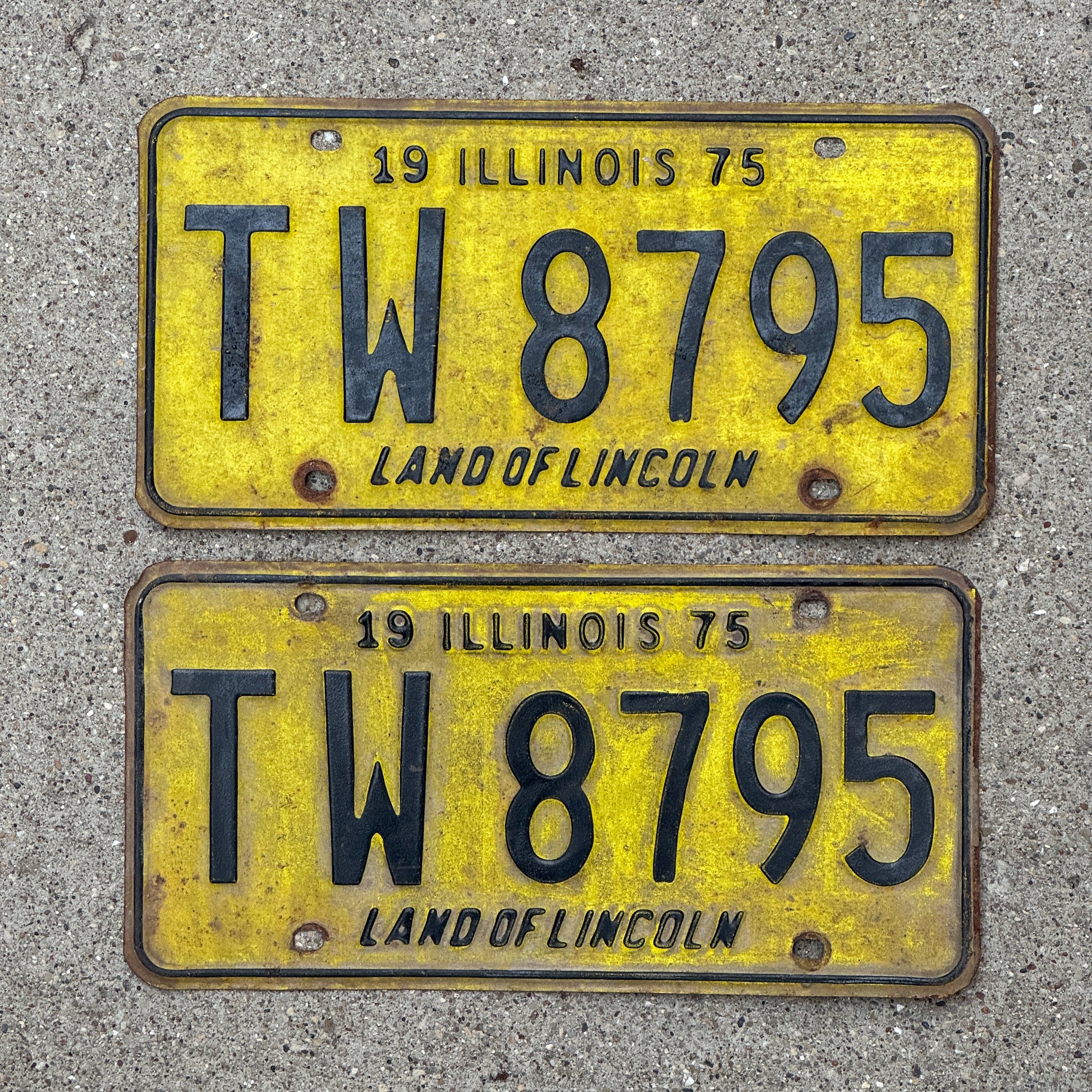 Photo of a 1975 Illinois License Plate Pair Auto Tag Garage Decor Vintage TW 8795 with original patina