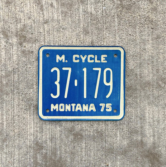 Photo of a 1975 Montana Motorcycle License Plate Auto Tag Garage Decor Vintage 37 179 with original patina