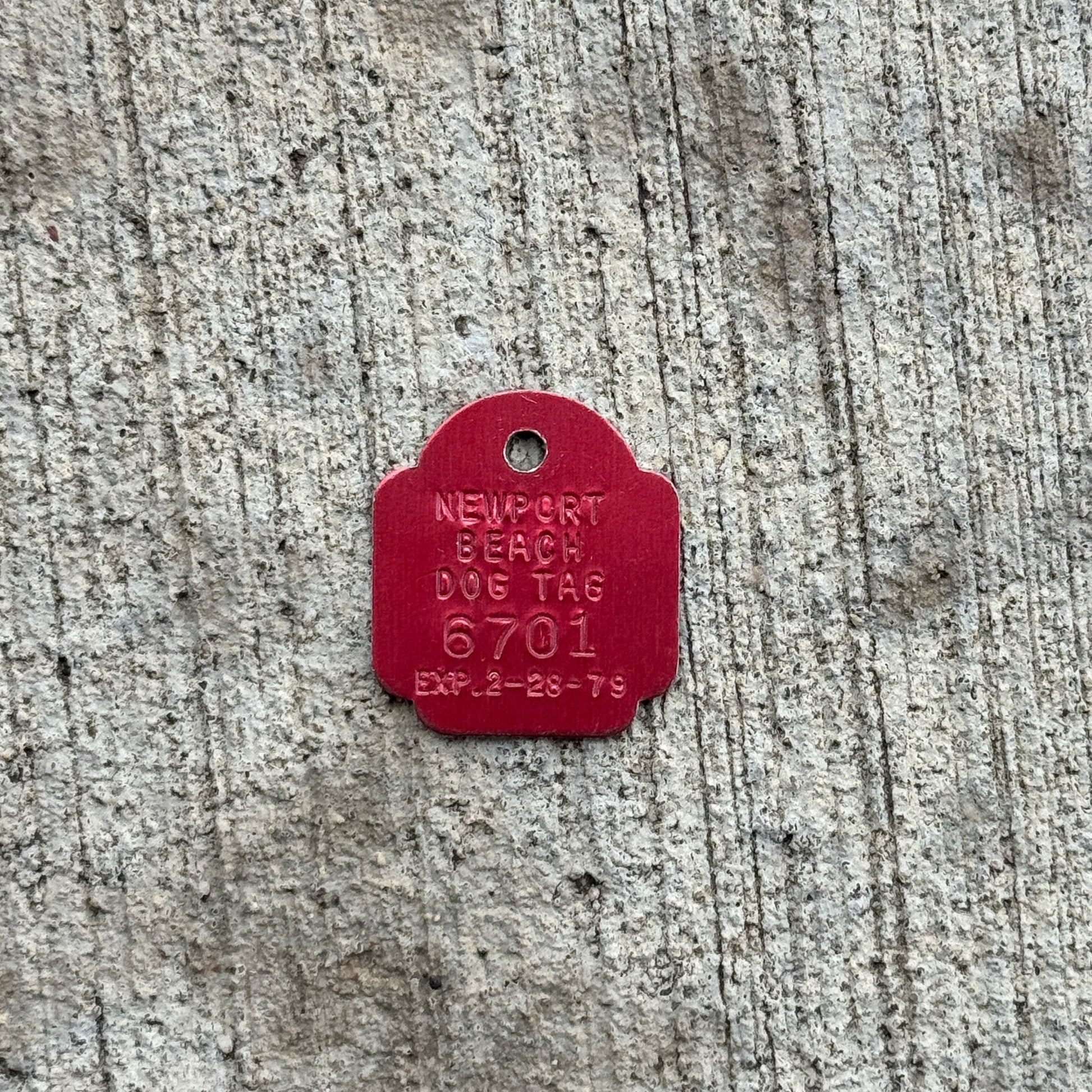 Photo of a 1979 California Dog License Auto Tag Garage Decor Vintage Newport Beach 6701 with original patina