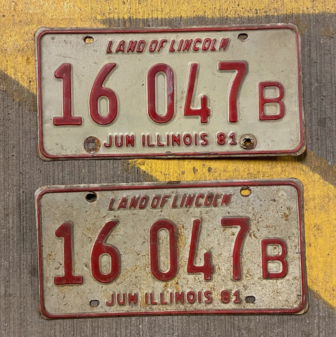 Photo of a 1981 Illinois Truck License Plate Auto Tag Garage Decor Vintage 16047 B