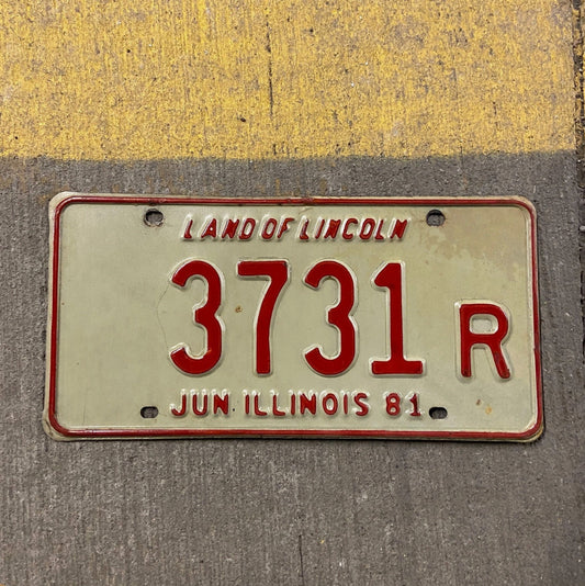 Photo of a 1981 Illinois Truck License Plate Auto Tag Garage Decor Vintage 3731 R with original patina