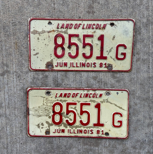 Photo of a 1981 Illinois Truck License Plate Pair Auto Tag Garage Decor Vintage 8551 G with original patina