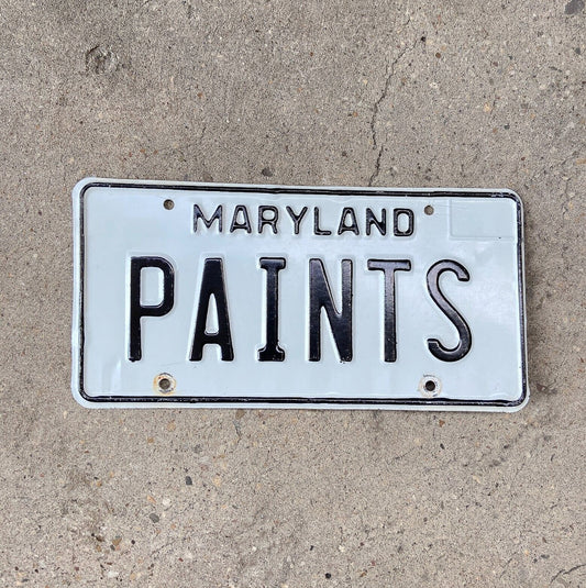 Photo of a 1981 Maryland License Plate Auto Tag Garage Decor Vintage Art Artist Painting PAINTS with original patina