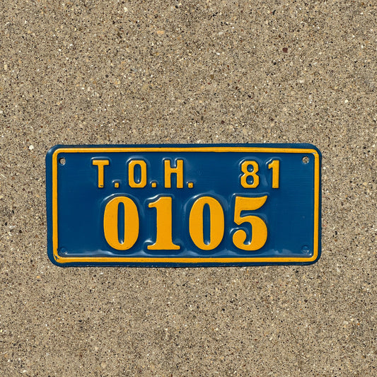 Photo of a 1981 New York TOH License Plate Auto Tag Garage Decor Vintage Town of Hempstead 0105