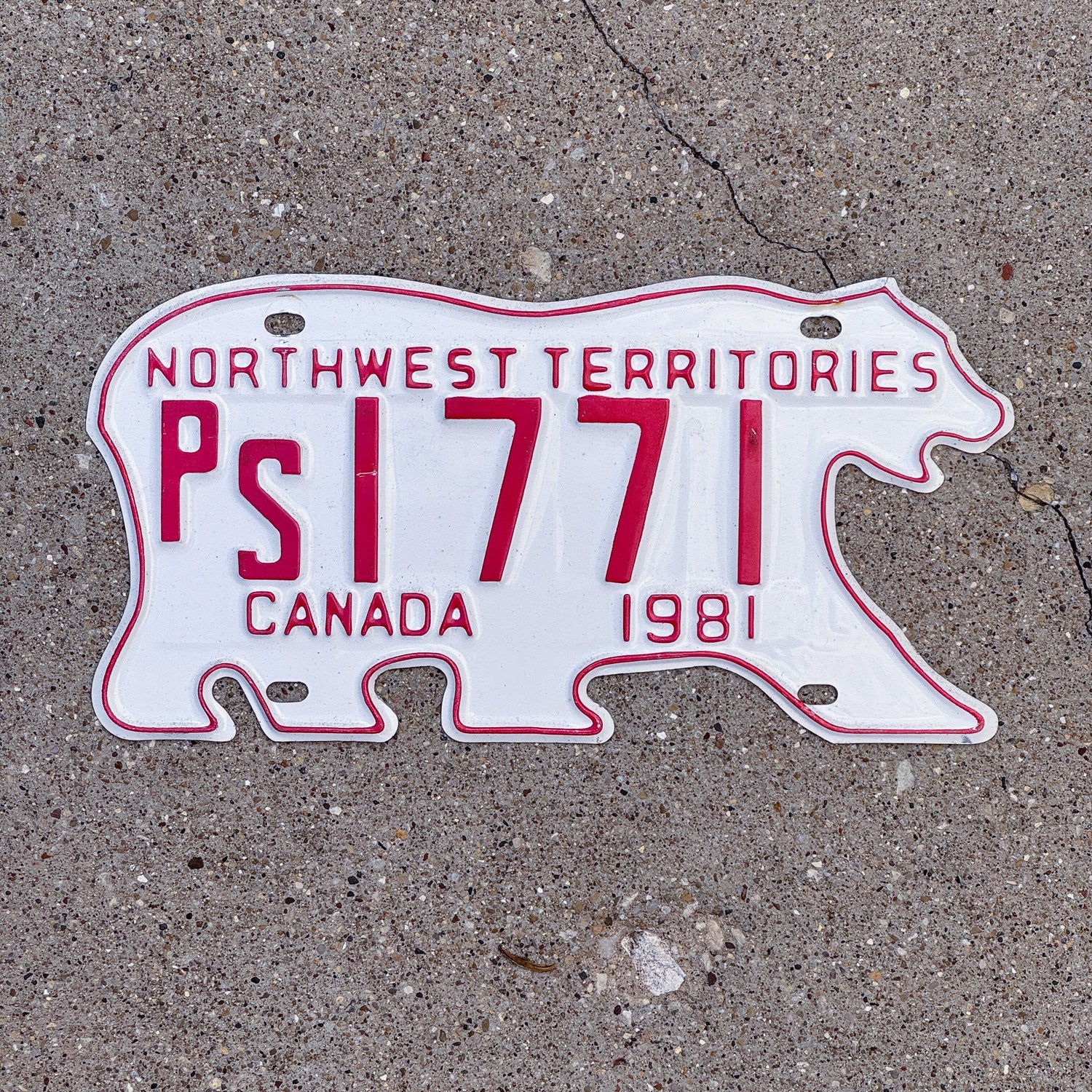Photo of a 1981 Northwest Territories Public Service License Plate Auto Tag Garage Decor Vintage Polar Bear PS 1771
