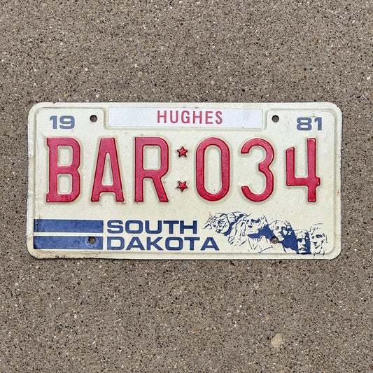 Photo of a 1981 South Dakota License Plate Auto Tag Garage Decor Vintage Bar Beer Restaurant BAR 034 with original patina