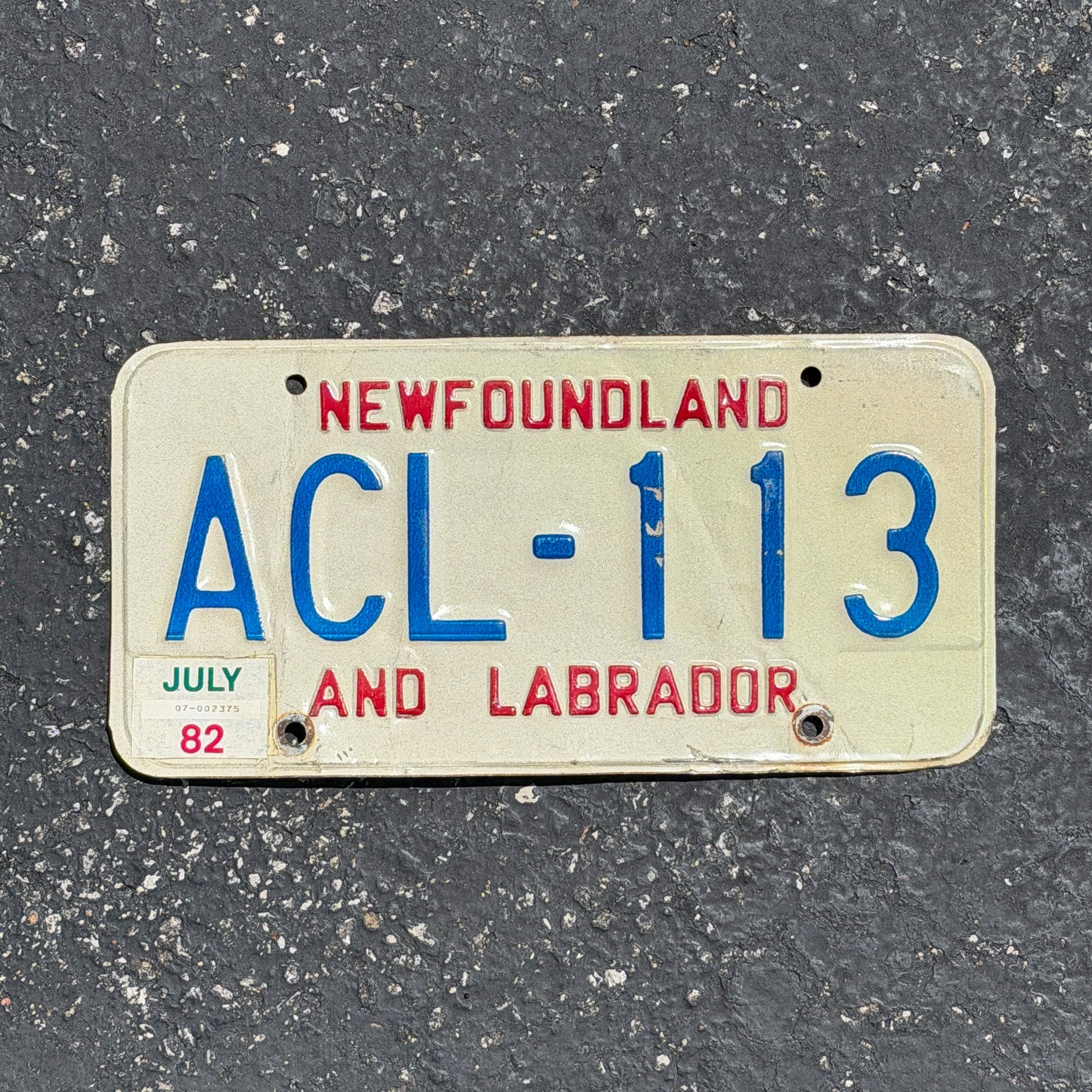 Photo of a 1982 Newfoundland License Plate Auto Tag Garage Decor Vintage ACL 113 with original patina