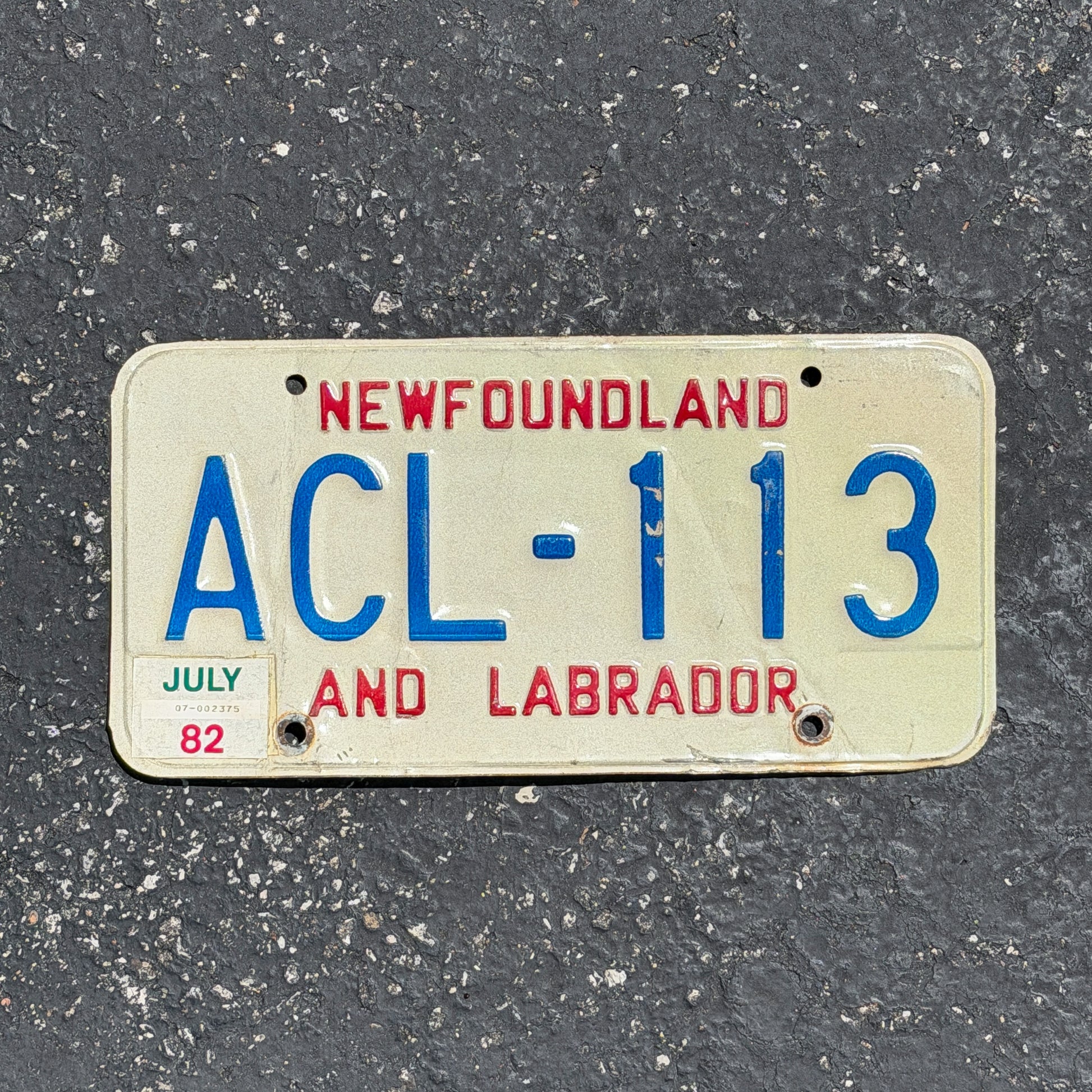 Photo of a 1982 Newfoundland License Plate Auto Tag Garage Decor Vintage ACL 113 with original patina