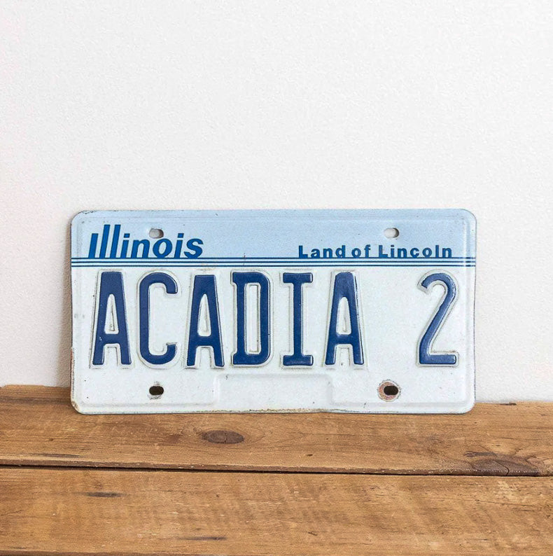 Photo of a 1983 Illinois Vanity License Plate Auto Tag Garage Decor Vintage National Park Maine ACADIA 2 with original patina