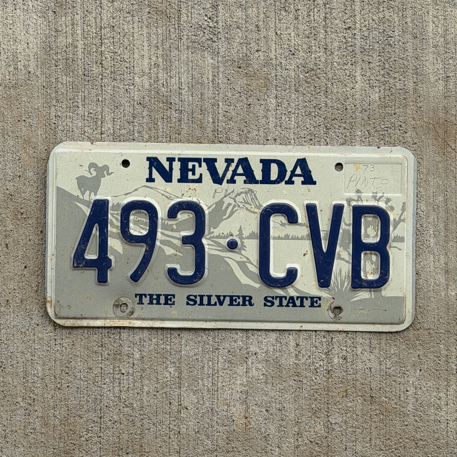 Photo of a 1985 Nevada License Plate Auto Tag 1 Vintage Garage 493 CVB with original patina