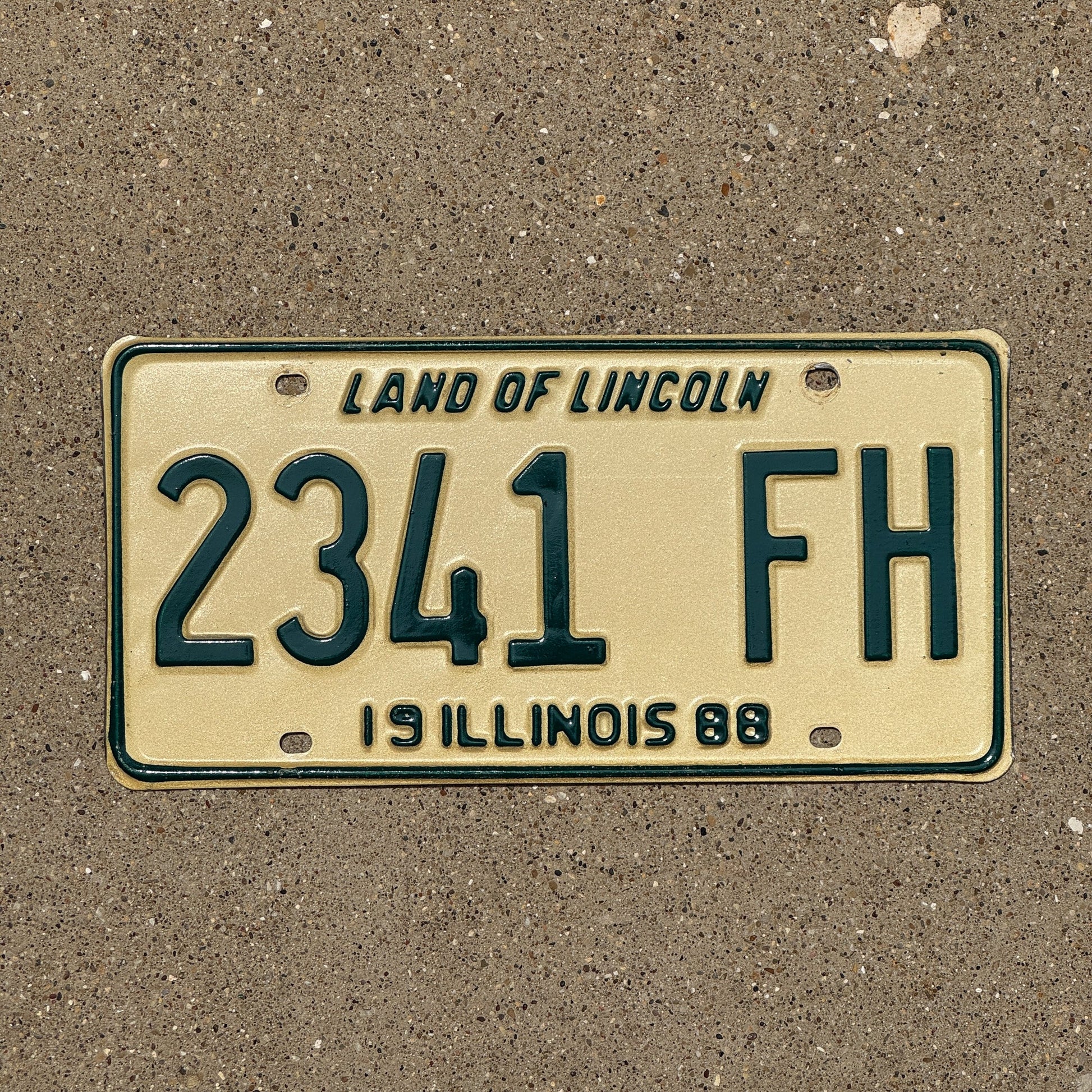 Photo of a 1988 Illinois Hearse License Plate Auto Tag Garage Decor Vintage Funeral Home 2341 FH