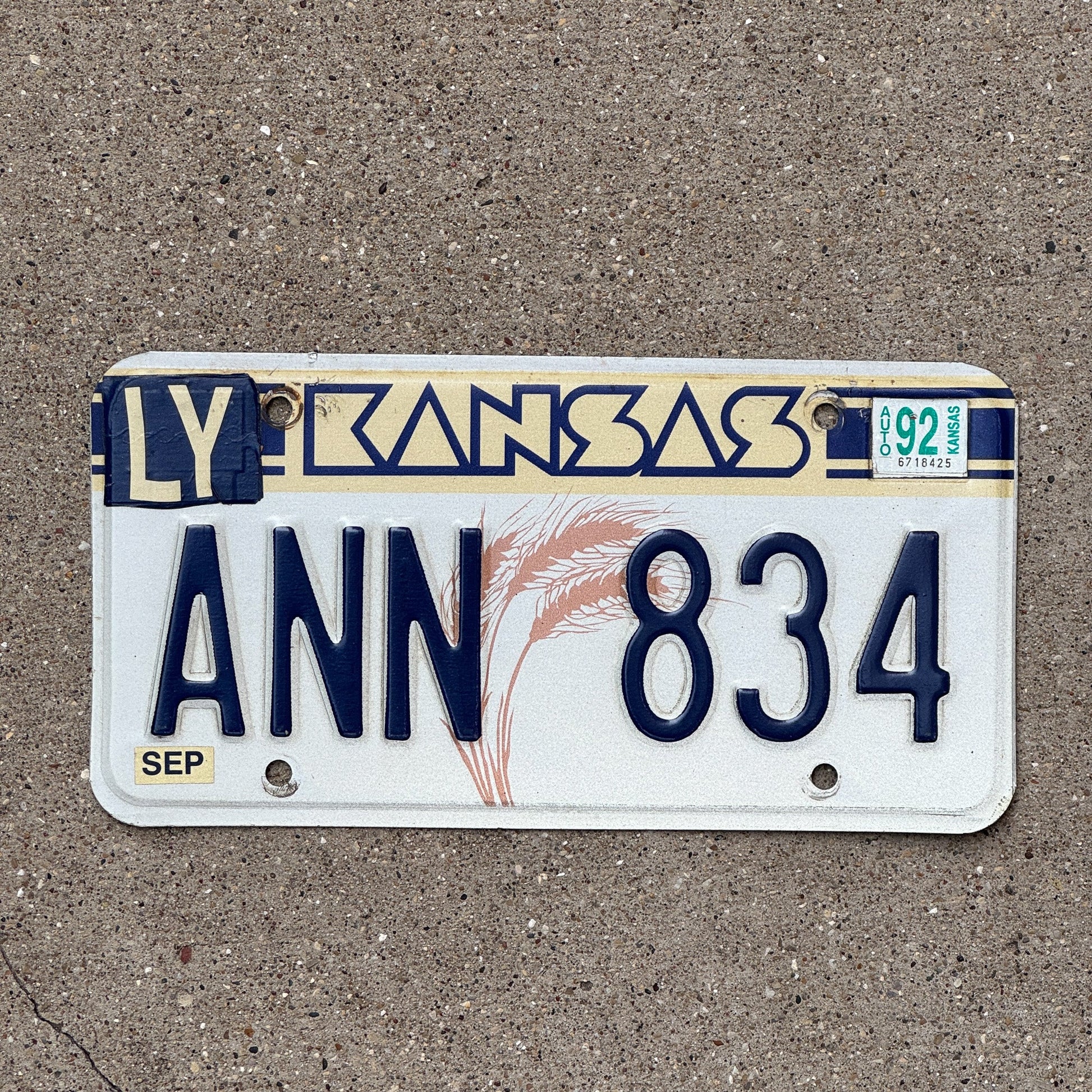 Photo of a 1988 Kansas License Plate Auto Tag Garage Decor Vintage Nickname Name ANN 834