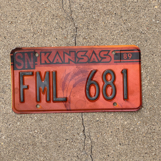 Photo of a 1989 Kansas Error License Plate Auto Tag Garage Decor Vintage Internet Slang Misprint FML 681