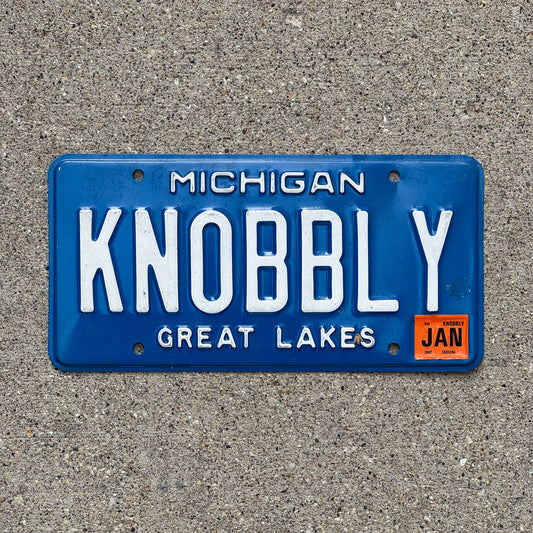 Photo of a 1993 2007 Michigan Vanity License Plate Auto Tag Garage Decor Vintage KNOBBLY with original patina