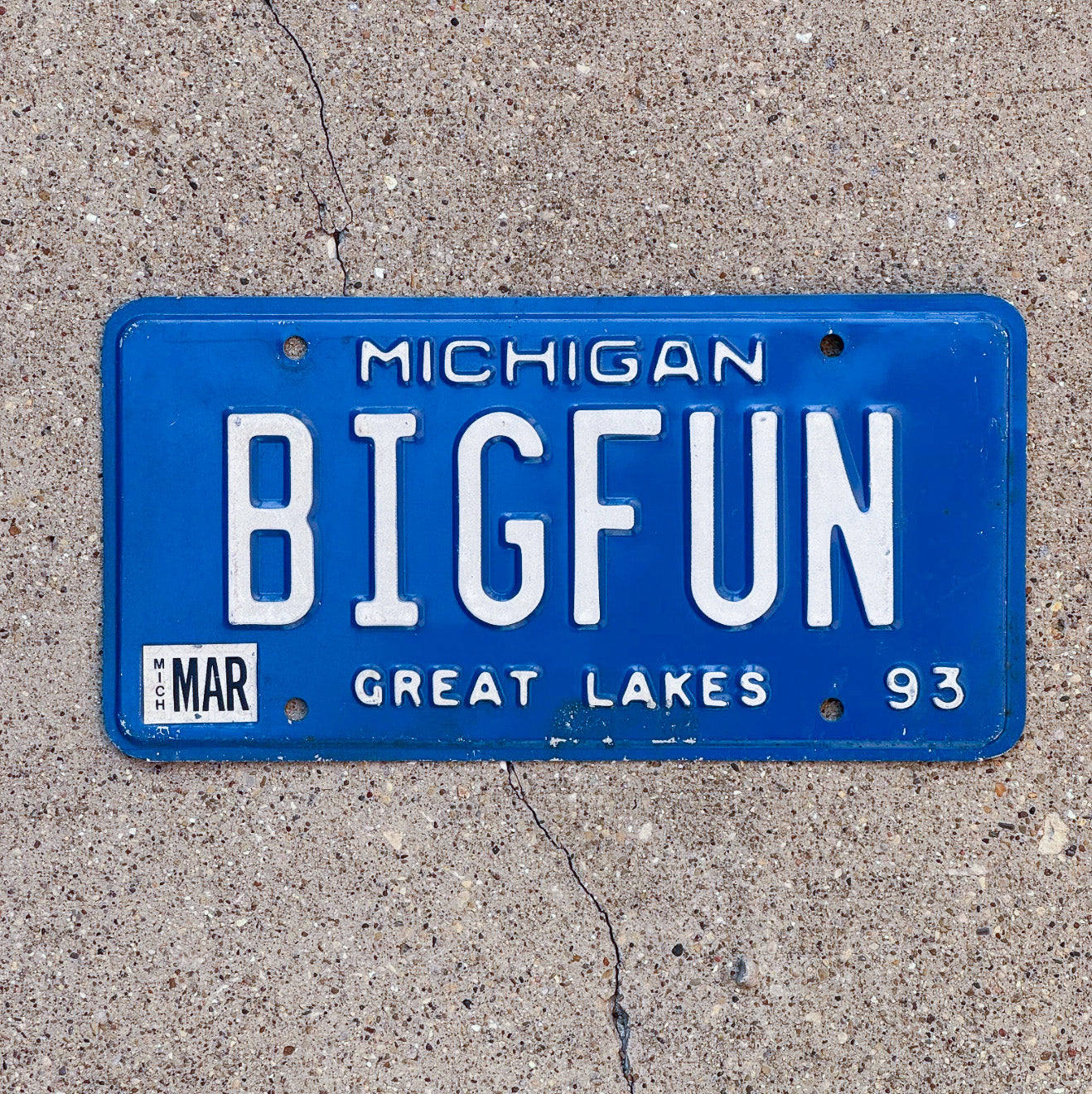 Photo of a 1993 Michigan Vanity License Plate Auto Tag Garage Decor Vintage BIG FUN with original patina