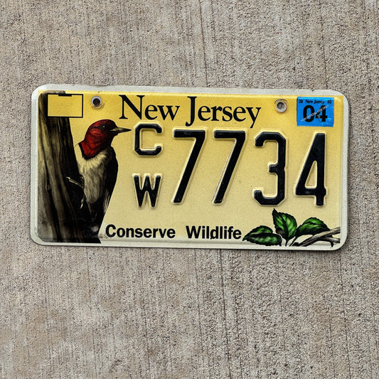 Photo of a 1993 New Jersey Graphic / Specialty License Plate Auto Tag Garage Decor Vintage Wildife Nature Woodpecker CW 7734