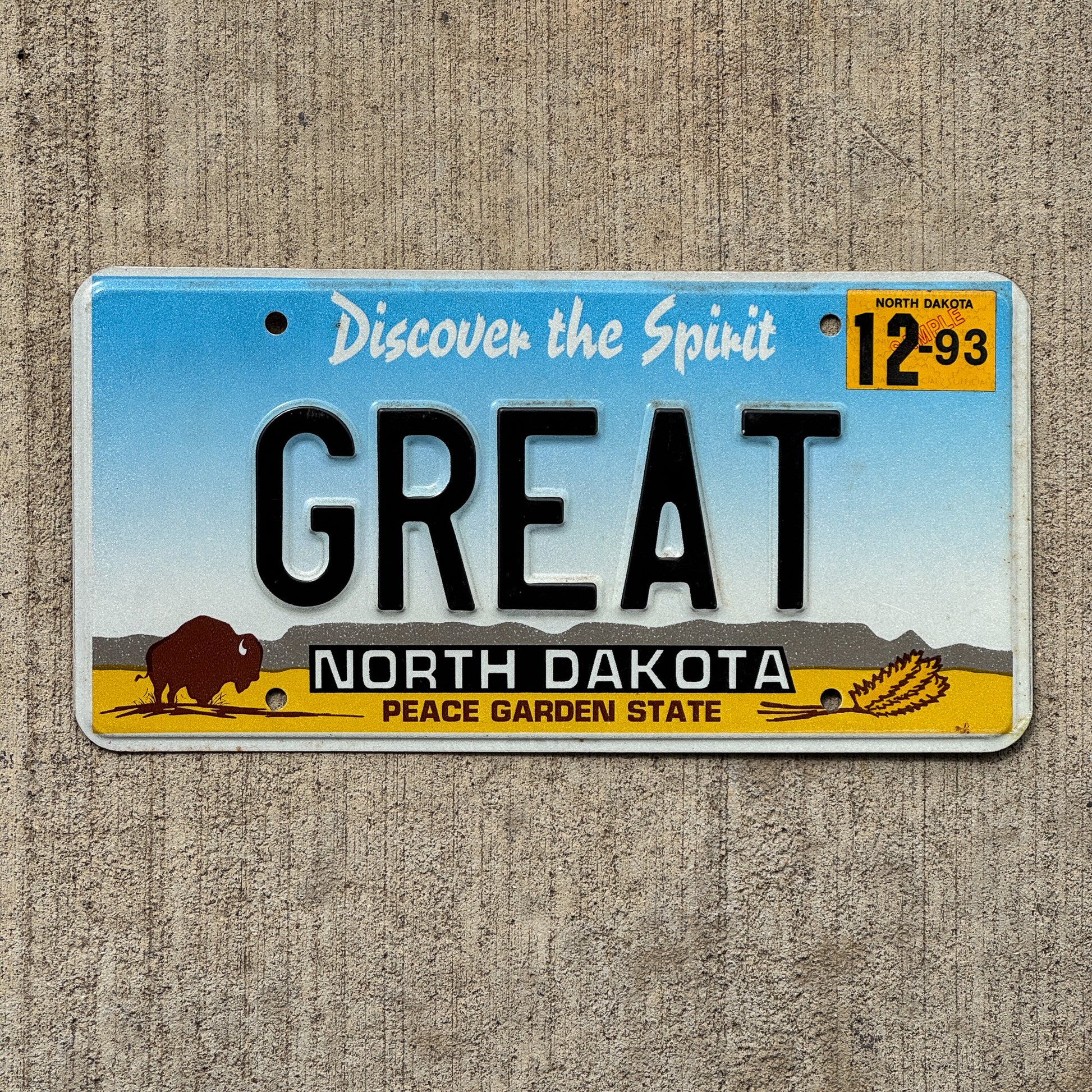 Photo of a 1993 North Dakota Sample License Plate Auto Tag Garage Decor Vintage GREAT with original patina