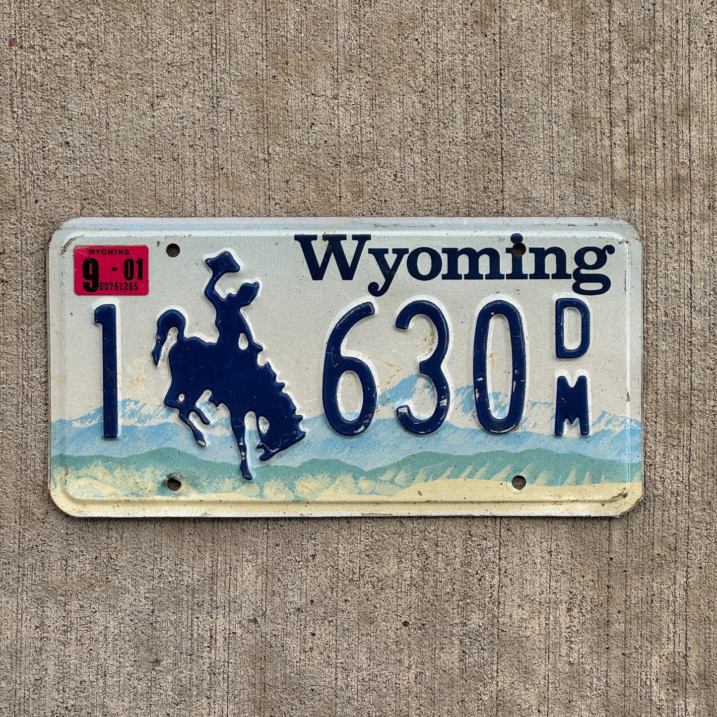 Photo of a 1994 2001 Wyoming License Plate Auto Tag Garage Decor Vintage 1 630 DM with original patina