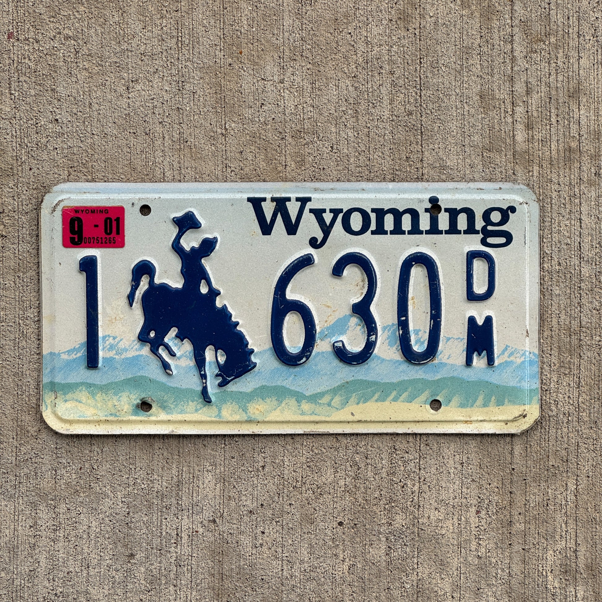 Photo of a 1994 2001 Wyoming License Plate Auto Tag Garage Decor Vintage 1 630 DM with original patina