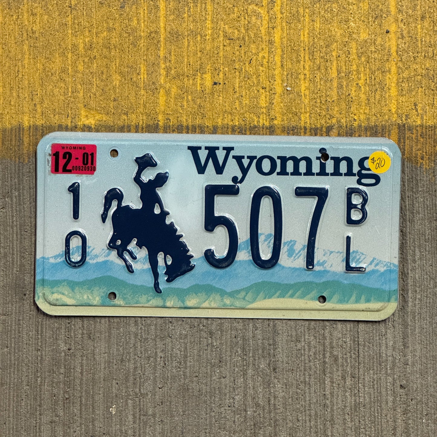 Photo of a 1994 2001 Wyoming License Plate Auto Tag Garage Decor Vintage 10 507 BL with original patina