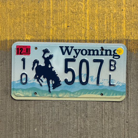 Photo of a 1994 2001 Wyoming License Plate Auto Tag Garage Decor Vintage 10 507 BL with original patina