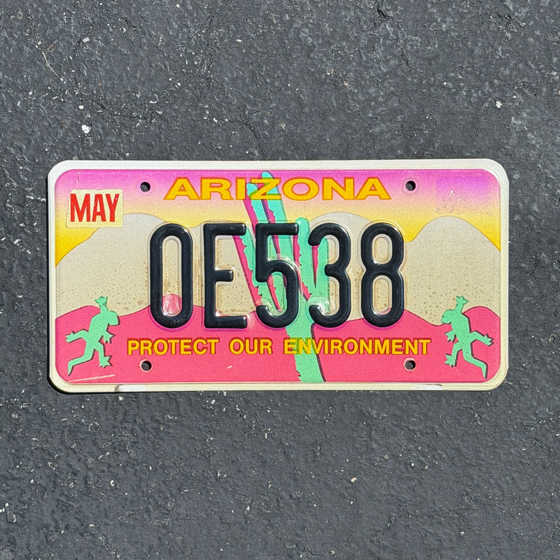 Photo of a 1994 Arizona Graphic / Specialty License Plate Auto Tag Garage Decor Vintage Protect Our Environment 0E 538 with original patina