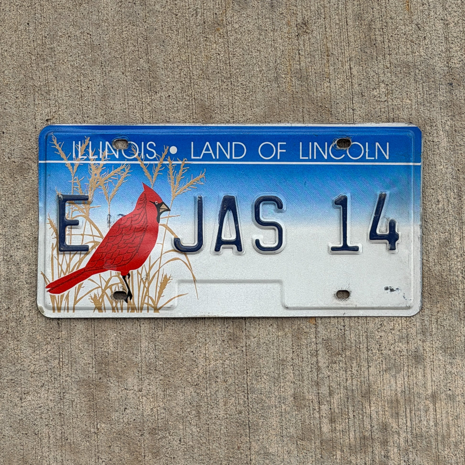 Photo of a 1994 Illinois Graphic / Specialty License Plate Auto Tag Garage Decor Vintage Environmental Cardinal Bird E JAS 14 with original patina