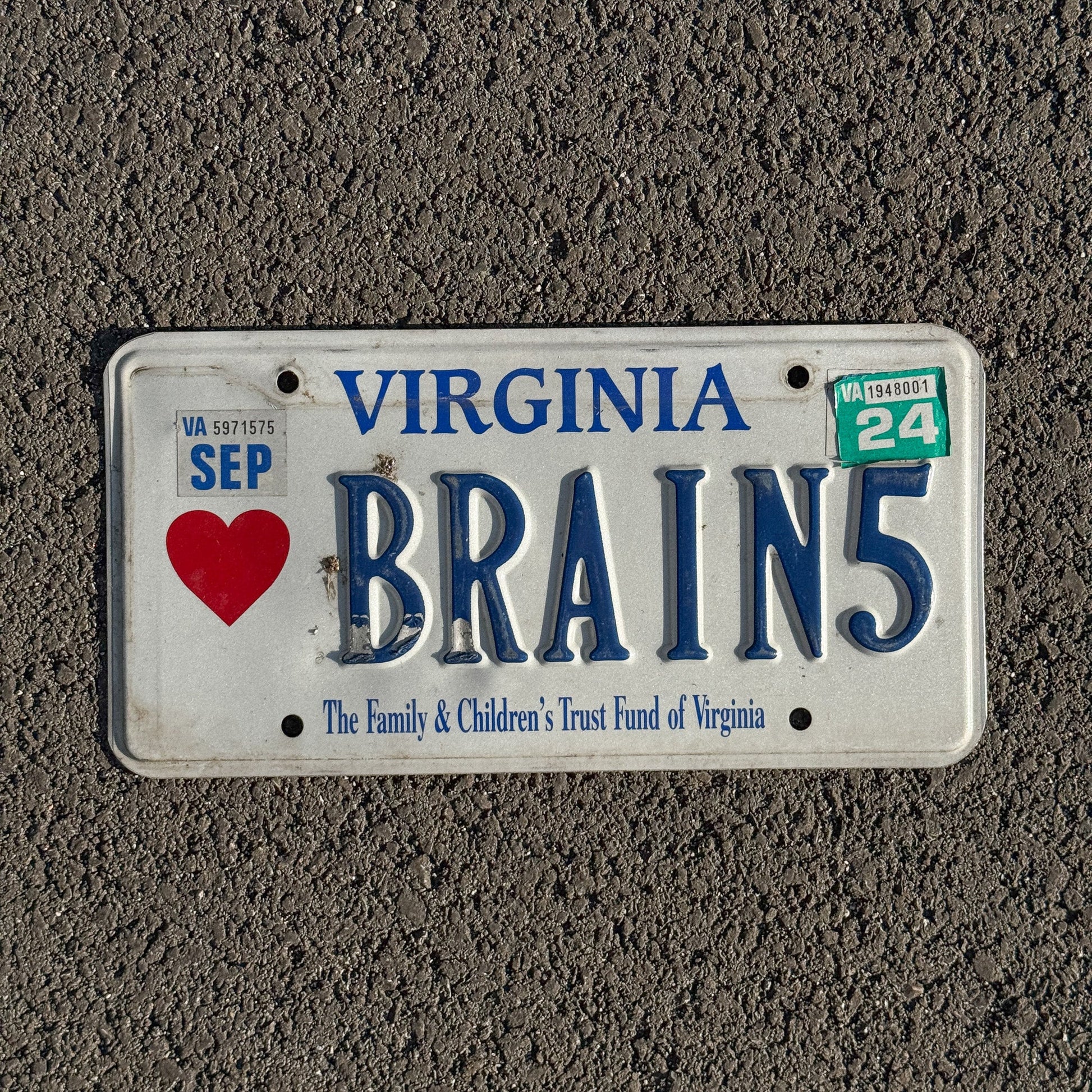 Photo of a 1994 Virginia VANITY License Plate Auto Tag Garage Decor Vintage Neuro Brains Children's Trust Fund Base BRAIN 5