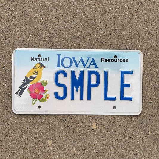 Photo of a 1995 Iowa Graphic Sample License Plate Auto Tag Garage Decor Vintage SMPLE