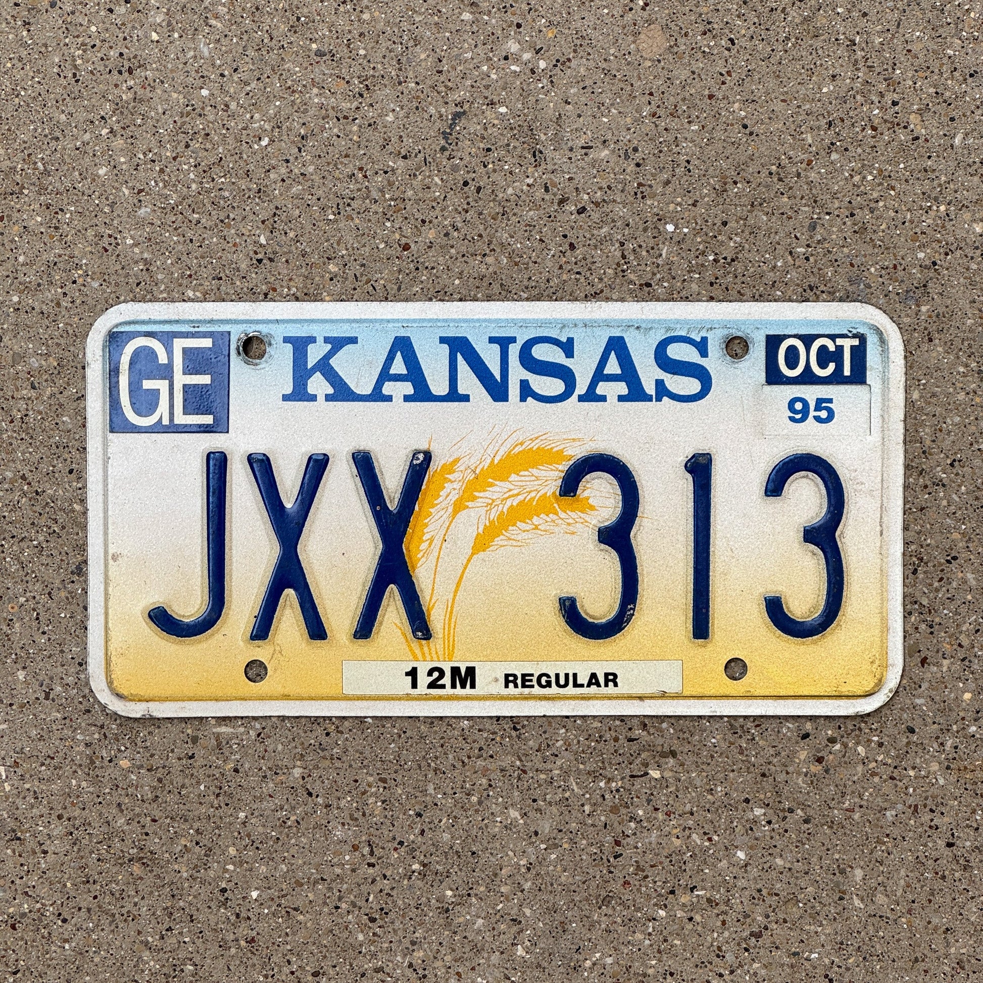 Photo of a 1995 Kansas License Plate Auto Tag Garage Decor Vintage JXX 313