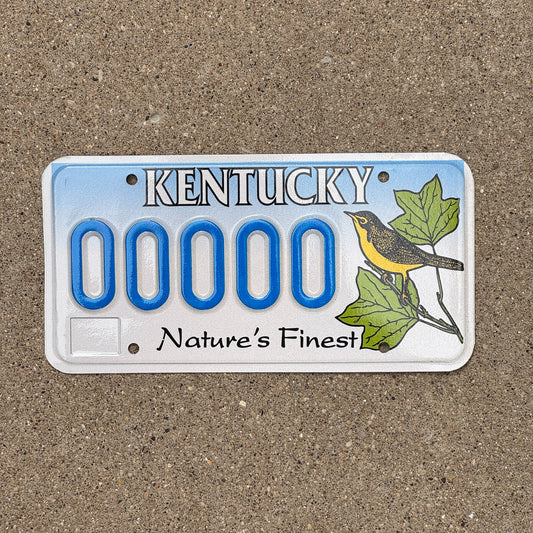 Photo of a 1995 Kentucky Graphic Sample License Plate Auto Tag Garage Decor Vintage 00000