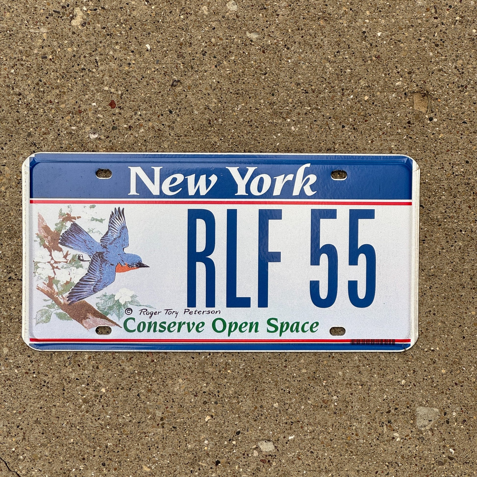 Photo of a 1995 New York Graphic / Specialty License Plate Auto Tag Garage Decor Vintage Conserve Open Space RLF 55
