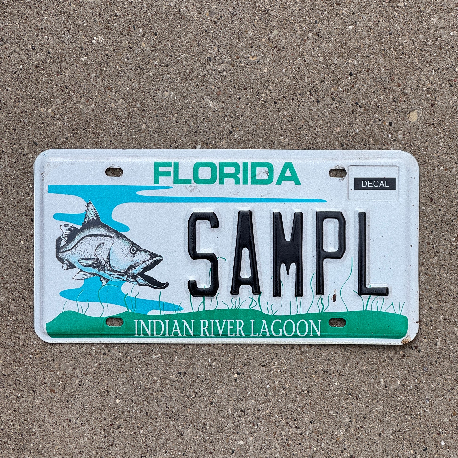 Photo of a 1995 Florida SAMPLE License Plate Auto Tag Indian River Lagoon Fish Fishing SAMPL