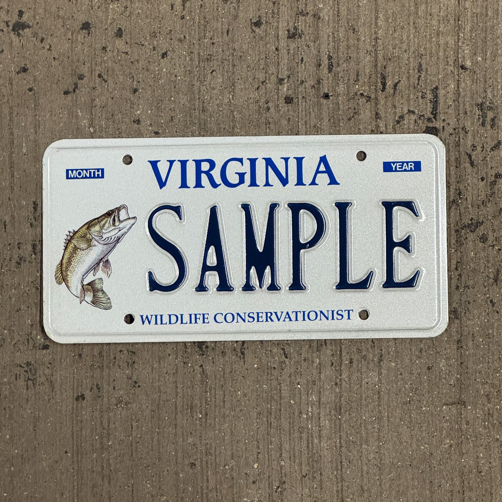 Photo of a 1996 Virginia Graphic Sample License Plate Auto Tag Garage Decor Vintage Bass Fishing SAMPLE