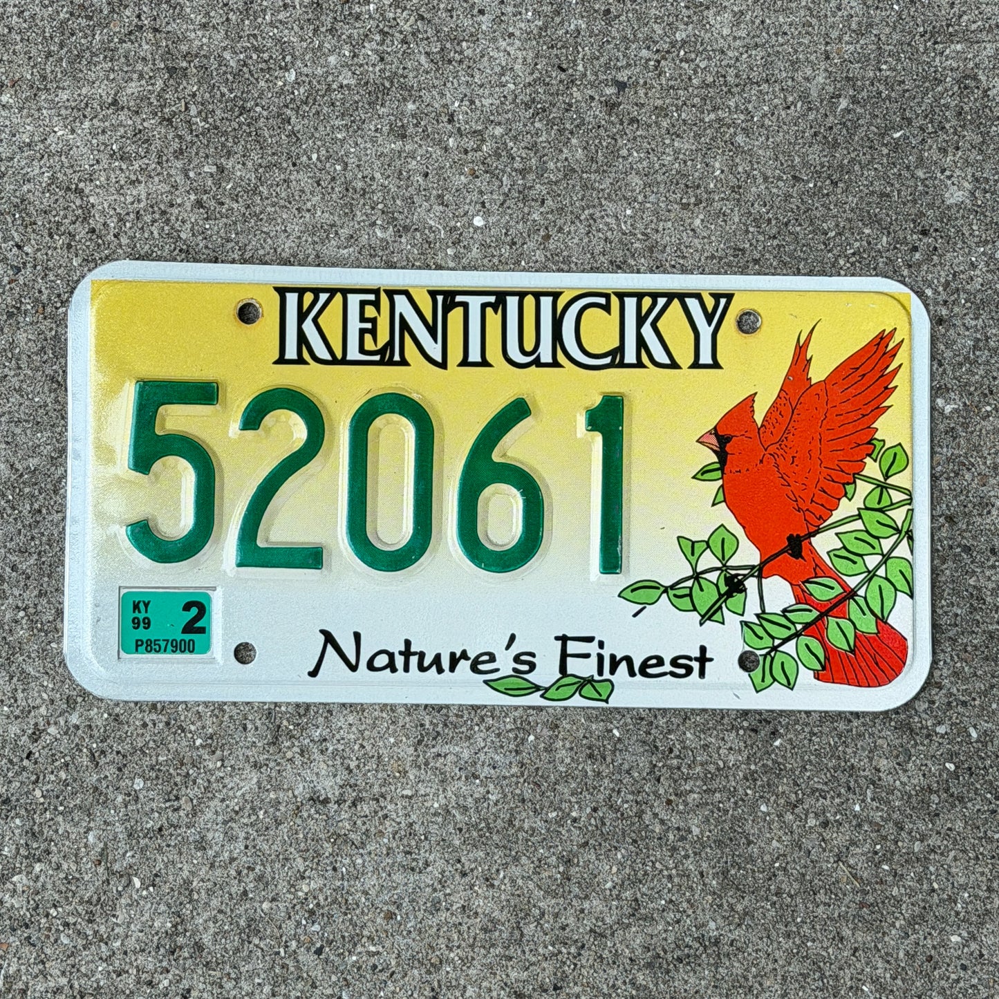 Photo of a 1997 1999 Kentucky Graphic / Specialty License Plate Auto Tag Garage Decor Vintage Nature's Finest Cardinal Bird 52061 with original patina