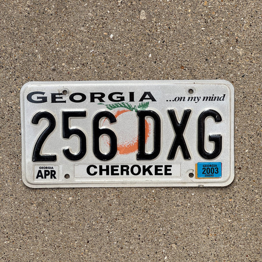 Photo of a 1997 2003 Georgia License Plate Auto Tag Garage Decor Vintage 256 DXG with original patina