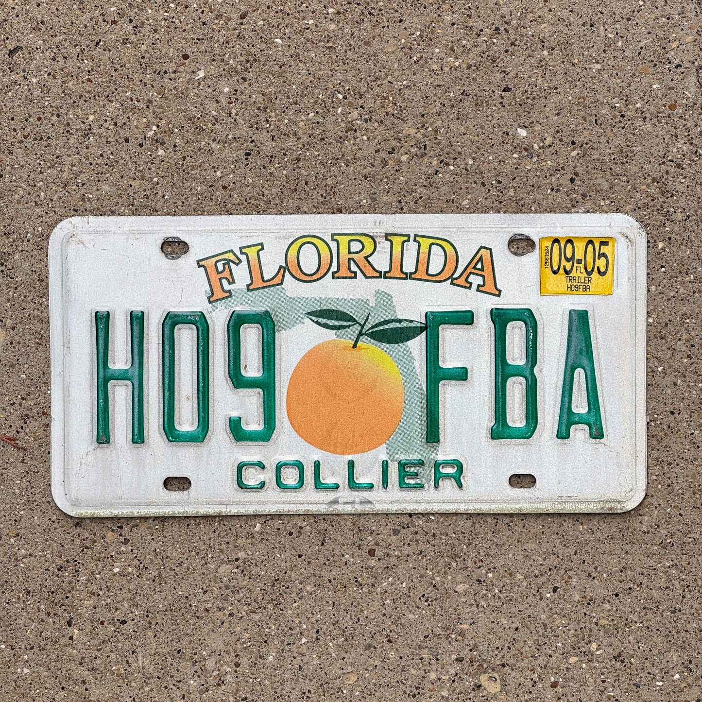 Photo of a 1997 2005 Florida Trailer License Plate Auto Tag Garage Decor Vintage H09 FBA with original patina