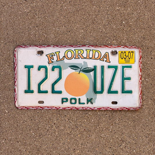 Photo of a 1997 2007 Florida License Plate Auto Tag Garage Decor Vintage I22 UZE