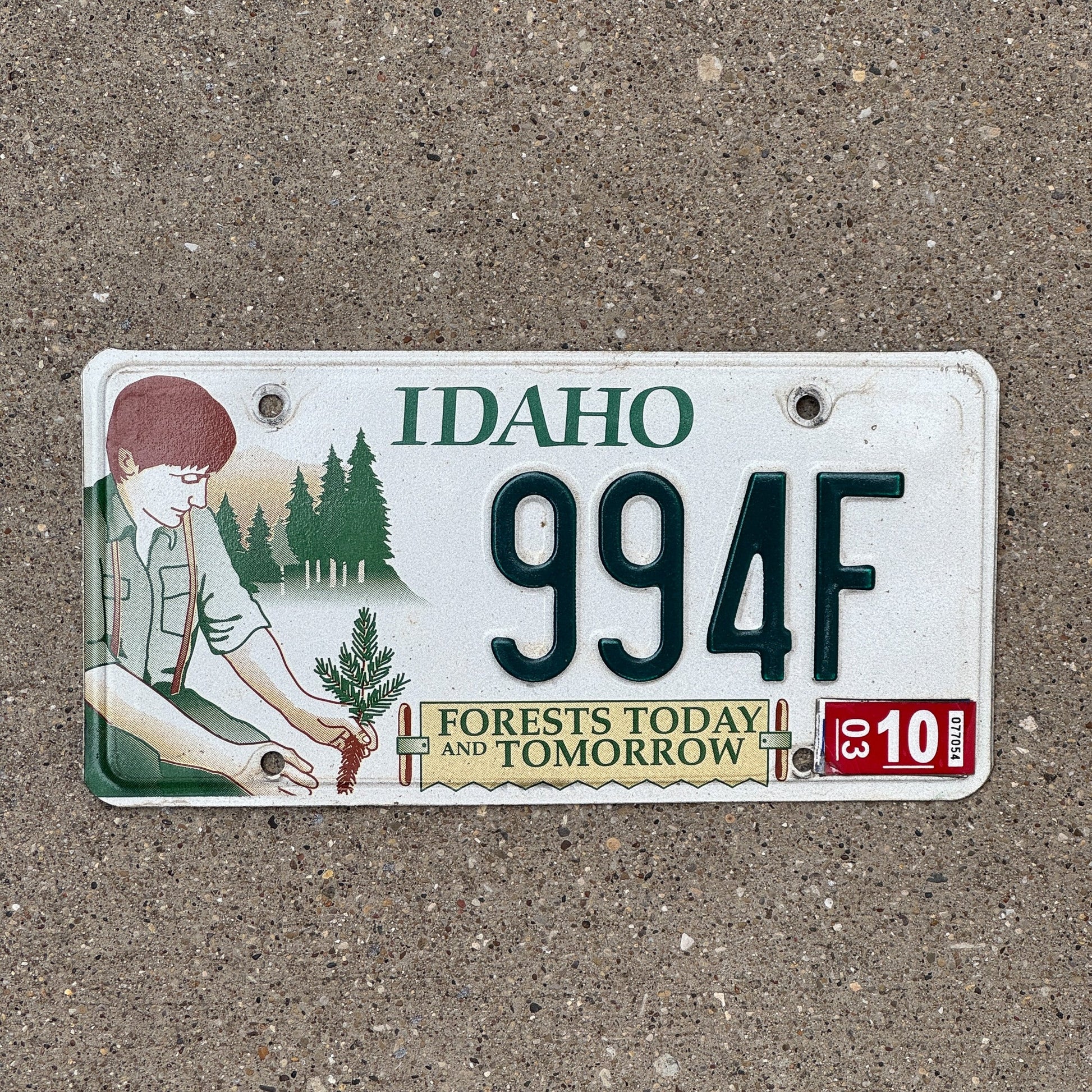 Photo of a 1997 Idaho Graphic / Specialty License Plate Auto Tag Garage Decor Vintage Forests Today 994 F