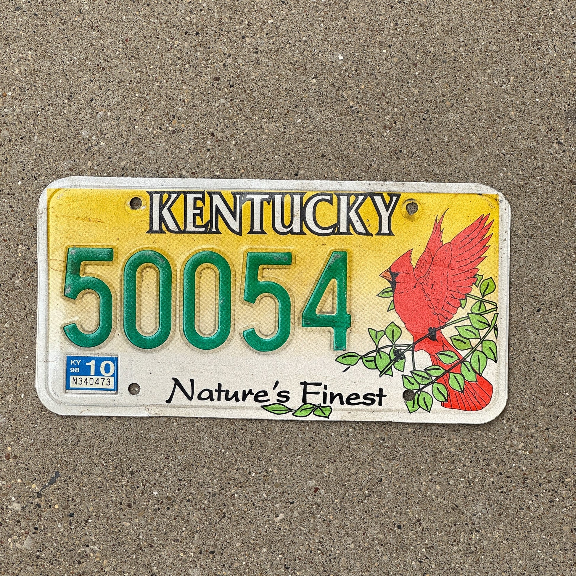 Photo of a 1997 Kentucky Graphic / Specialty License Plate Auto Tag Garage Decor Vintage Nature Cardinal Bird 50054
