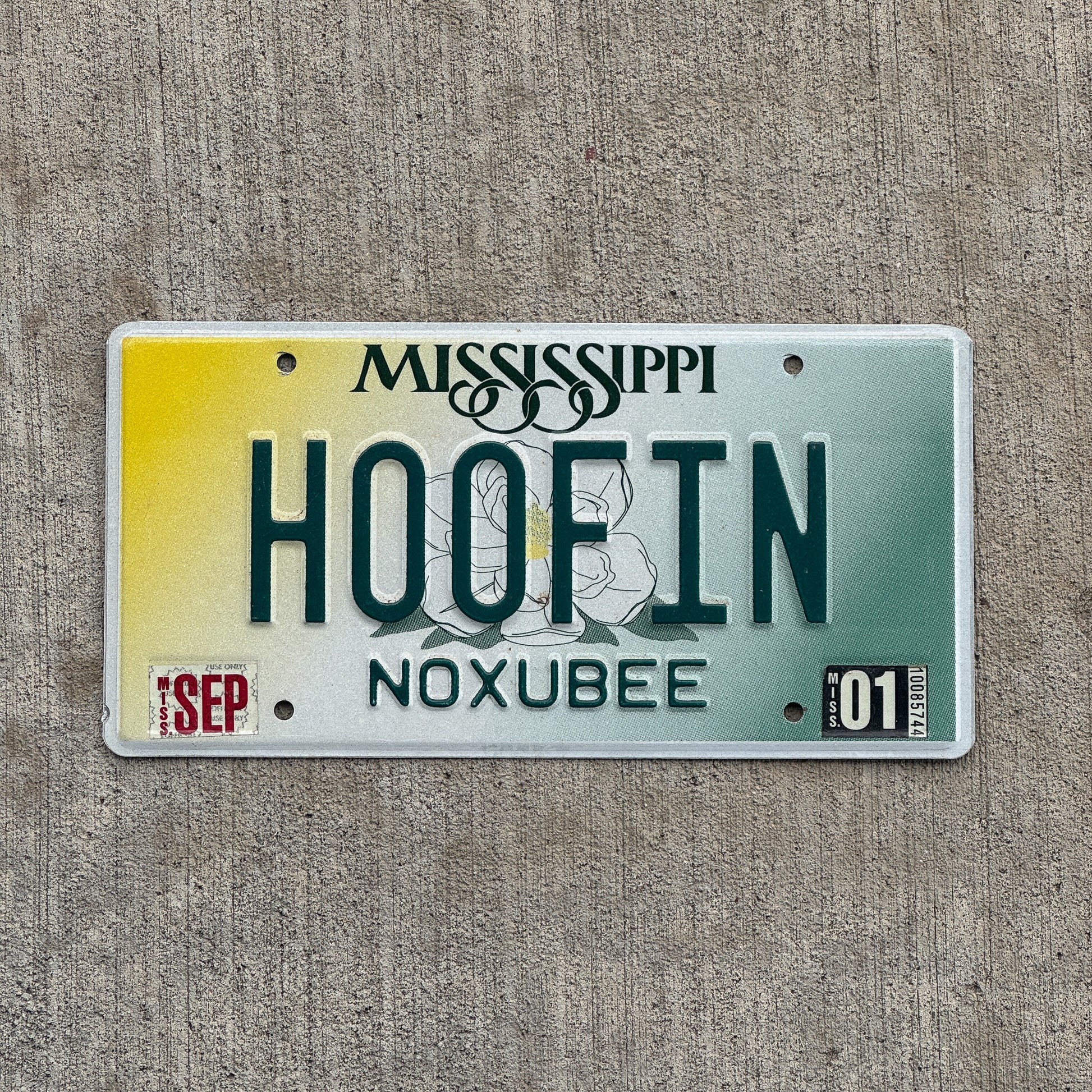 Photo of a 1998 2001 Mississippi Vanity License Plate Auto Tag Garage Decor Vintage Cow Horse Running HOOFIN with original patina