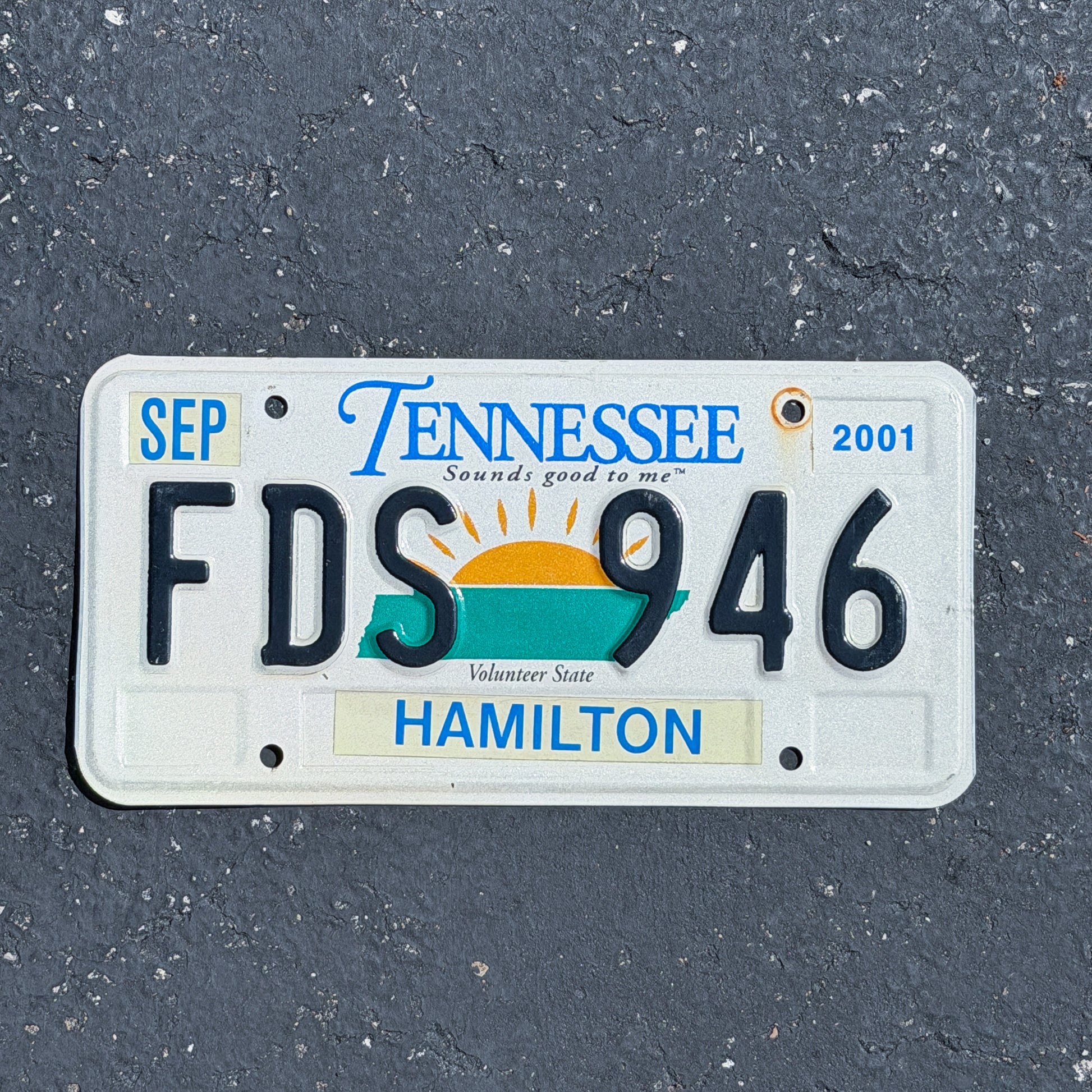 Photo of a 2000 2001 Tennessee License Plate Auto Tag Garage Decor Vintage FDS 946 with original patina