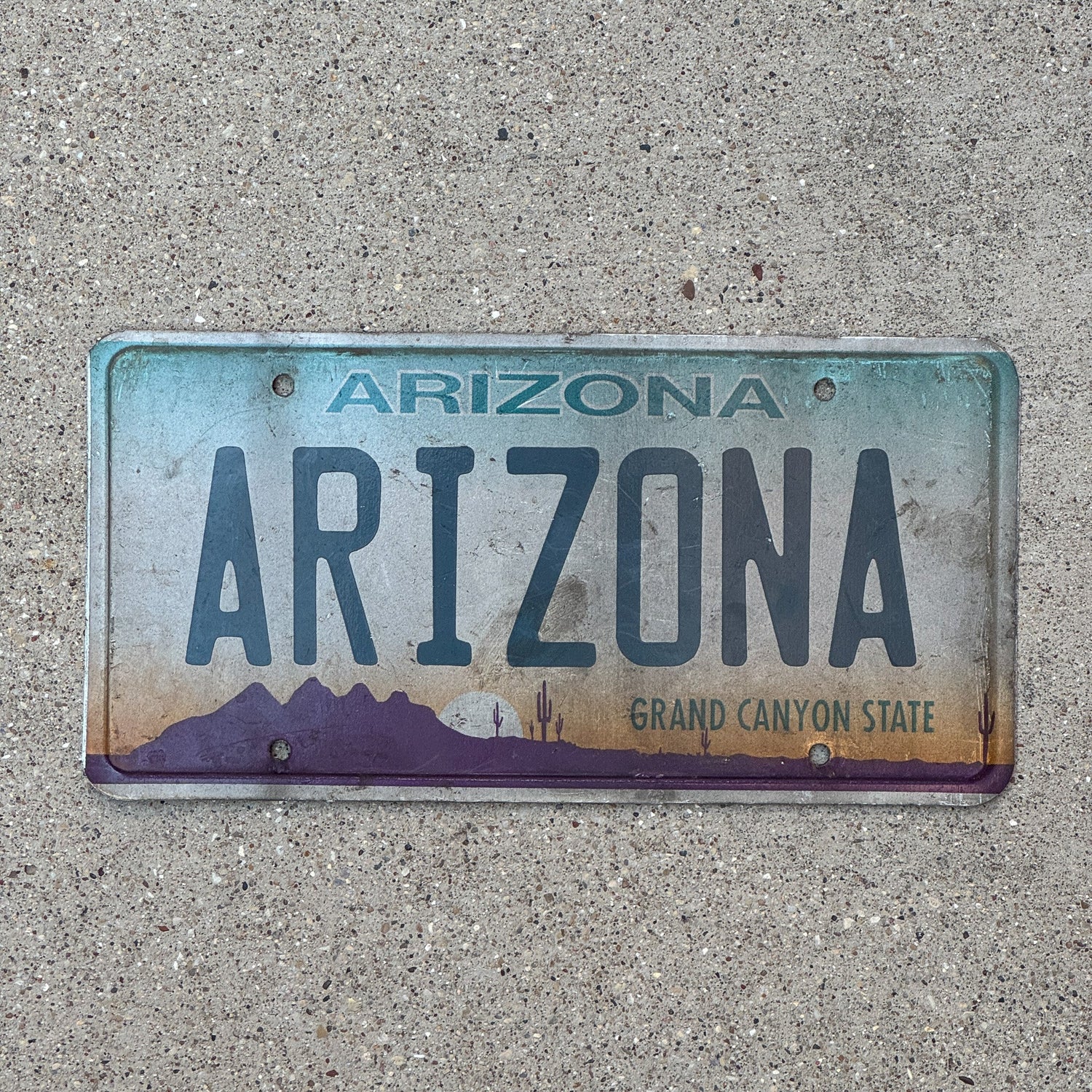 Photo of a 2000 Era Arizona Auto Tag Garage Decor Vintage ARIZONA