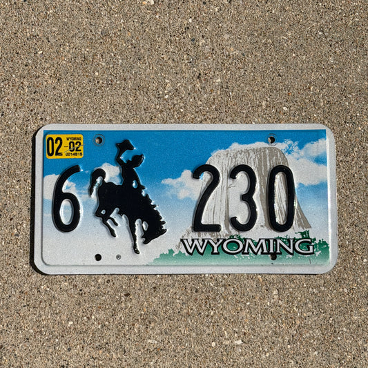 Photo of a 2001 2002 Wyoming License Plate Auto Tag Garage Decor Vintage Cowboy Rodeo 6 230 with original patina