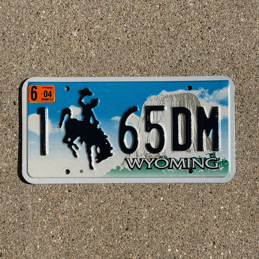 Photo of a 2001 2004 Wyoming License Plate Auto Tag Garage Decor Vintage Cowboy Rodeo 1 65 DM with original patina