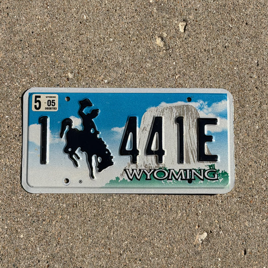 Photo of a 2001 2005 Wyoming License Plate Auto Tag Garage Decor Vintage Cowboy Rodeo 1 441 E with original patina