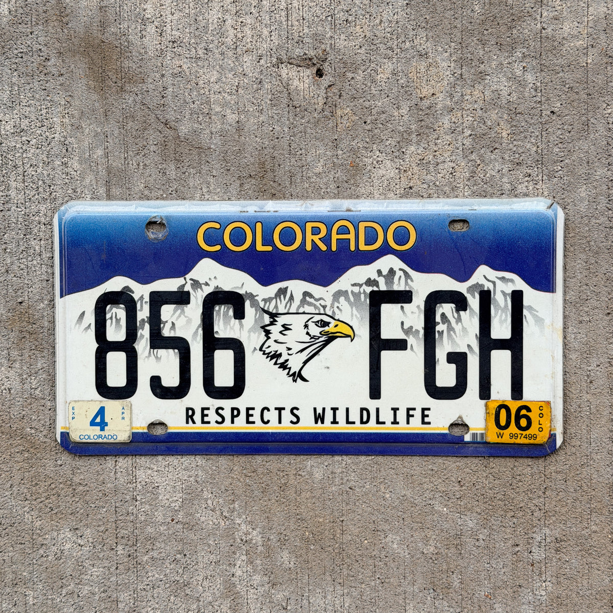 Photo of a 2001 2006 Colorado Graphic / Specialty License Plate Auto Tag Garage Decor Vintage Respects Wildlife Eagle 856 FGH with original patina
