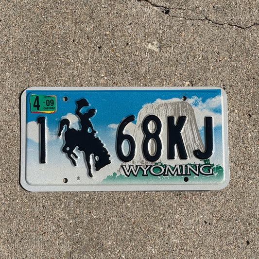Photo of a 2001 2009 Wyoming License Plate Auto Tag Garage Decor Vintage Cowboy Rodeo 1 68 KJ with original patina